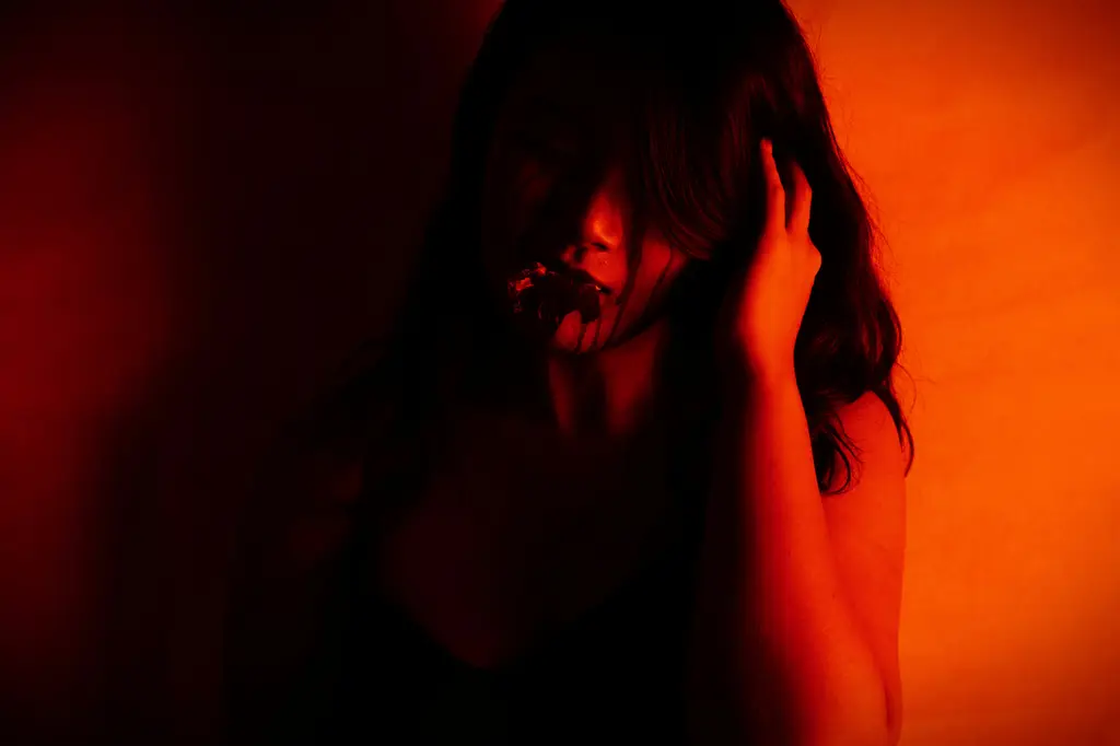 LGVelvet拍照功能大解析：卓越畫質，捕捉精彩時刻